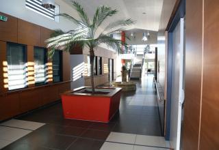 Ehpad Les Romarins Villeveyrac